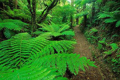 《明末：渊虚之羽》新壁纸 红色倩影显肃杀之气